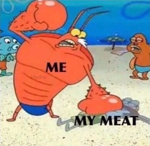 shroudhentai