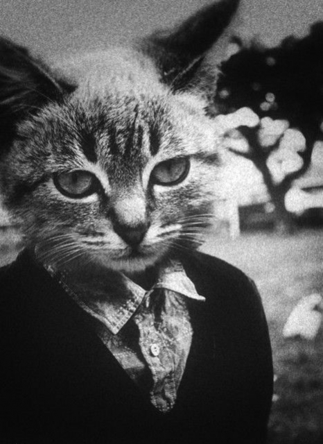 edmond