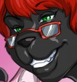 tehponk