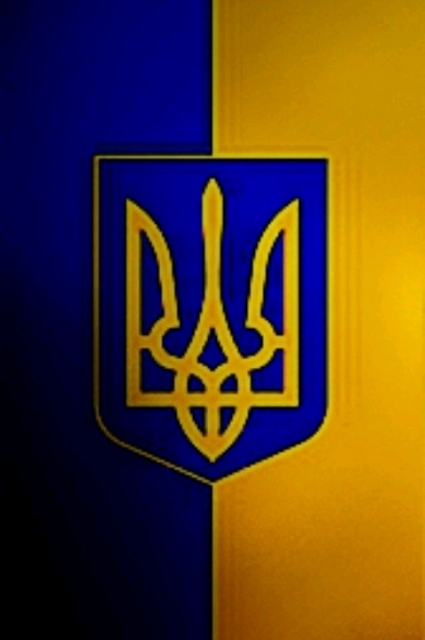 d579ory