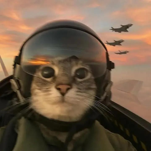 javlm99